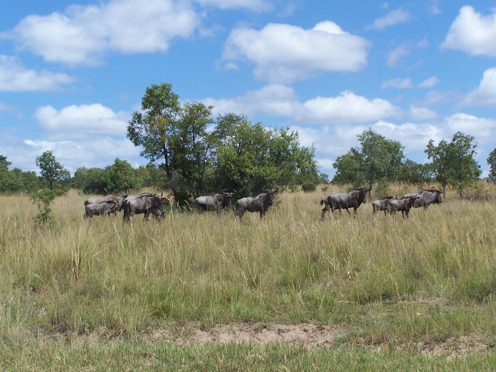 Pumula Lodge Modimolle Buitenkant foto